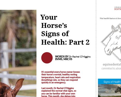 Your Horse's Signs of Health - Part 2