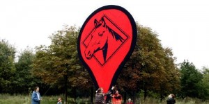 Pony Clubs